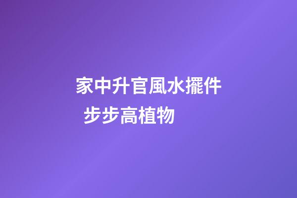 家中升官風水擺件  步步高植物